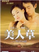 美人草在线观看