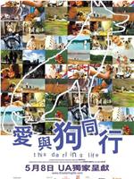 爱与狗同行在线观看