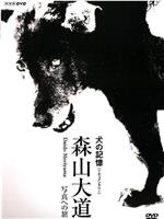 犬的记忆 森山大道・写真之旅