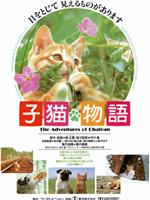 小猫的故事