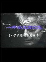 一种目光的记忆：伊文思纪录的世界在线观看