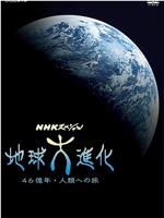 地球大进化 46亿年走向人类之旅在线观看