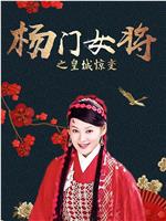 杨门女将之皇城惊变