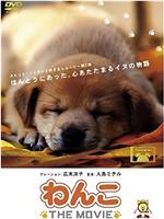 狗狗物語在线观看