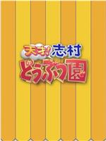 志村动物园