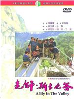 老师斯卡也答