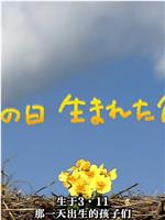 生于3·11 那一天出生的孩子们