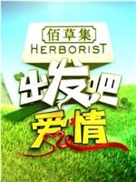 出发吧爱情在线观看