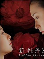 新牡丹与蔷薇