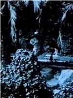 巴塞罗那-公园黄昏在线观看