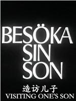 造访儿子在线观看