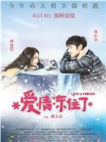 爱情冻住了在线观看