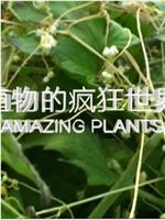 植物的疯狂世界