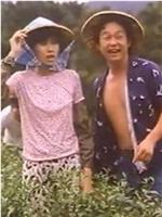 小美我爱你在线观看