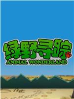 绿野寻踪在线观看
