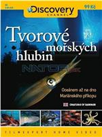 黑暗中的海洋生物