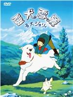 灵犬雪莉
