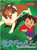 名犬莱西在线观看