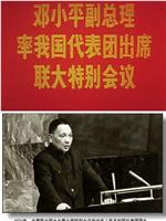 邓小平副总理率我国代表团出席联大特别会议