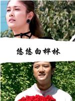 悠悠白桦林