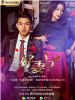 好妻子在线观看