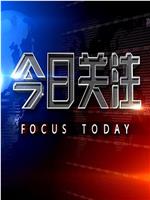 今日关注