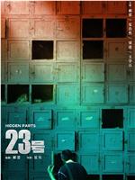 23号在线观看