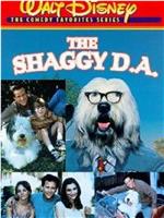The Shaggy Dog