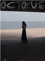 章鱼2