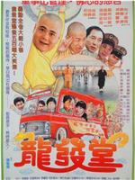 龙发堂在线观看