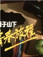 獅子山下：青春旅程