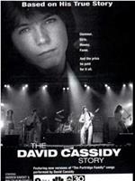 The David Cassidy Story
