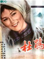 杜鹃声声在线观看