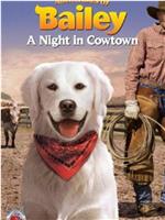 Adventures of Bailey: A Night in Cowtown
