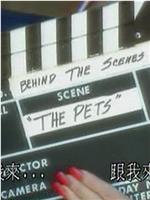Penthouse: Behind the Scenes