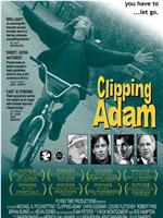 Clipping Adam