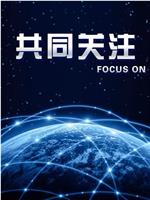 共同关注在线观看