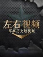 左右视频在线观看