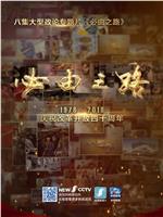 必由之路在线观看