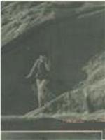 美人岛