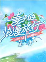 妻子的浪漫旅行