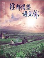 谁都渴望遇见你在线观看