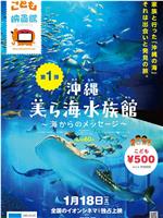 冲绳美之海水族馆