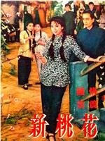 新桃花江
