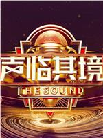 声临其境 第三季在线观看