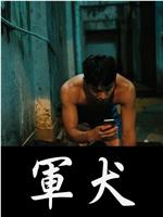 军犬