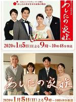 明日家族在线观看
