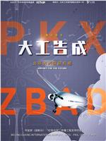 大工告成——北京大兴国际机场