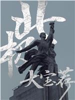 北极大宝荐