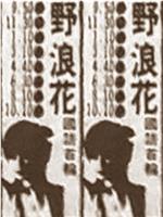 野浪花在线观看